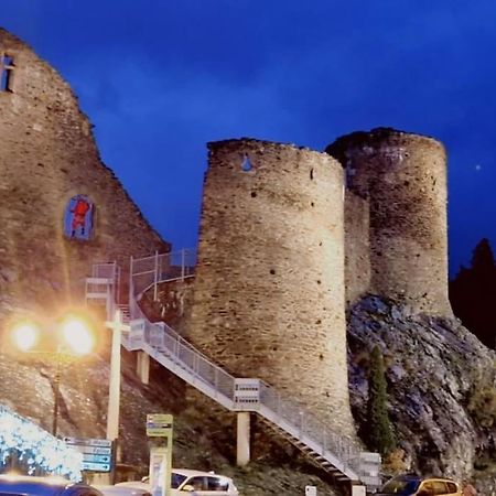 Rochetaille Petit Havre De Paix Daire Saint-Etienne  Dış mekan fotoğraf
